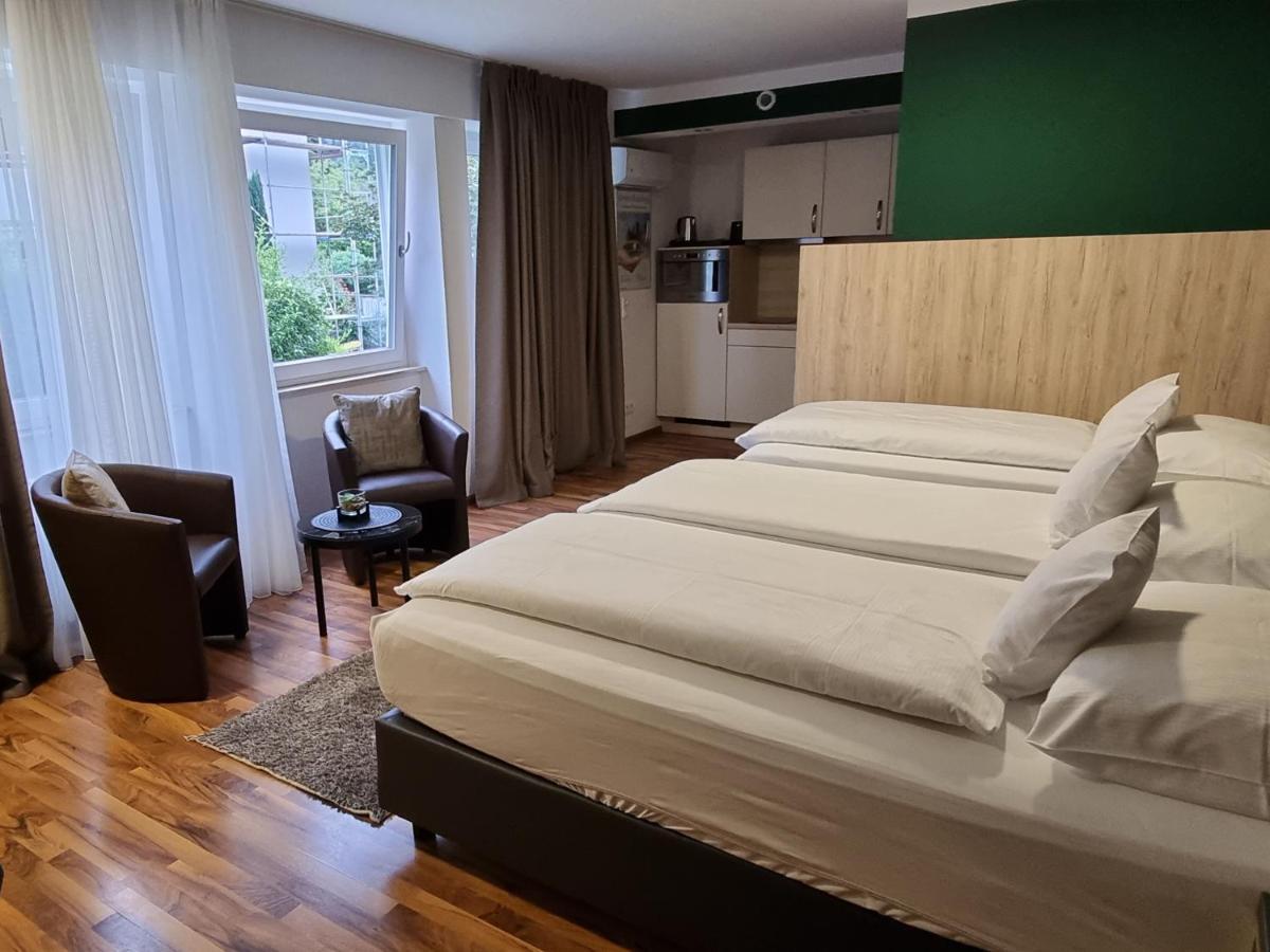 Zum Ziel Hotel Grenzach-Wyhlen Bei Basel المظهر الخارجي الصورة