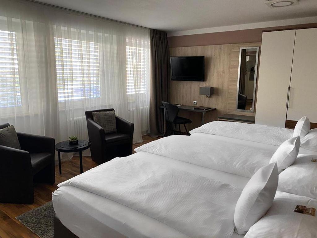 Zum Ziel Hotel Grenzach-Wyhlen Bei Basel المظهر الخارجي الصورة